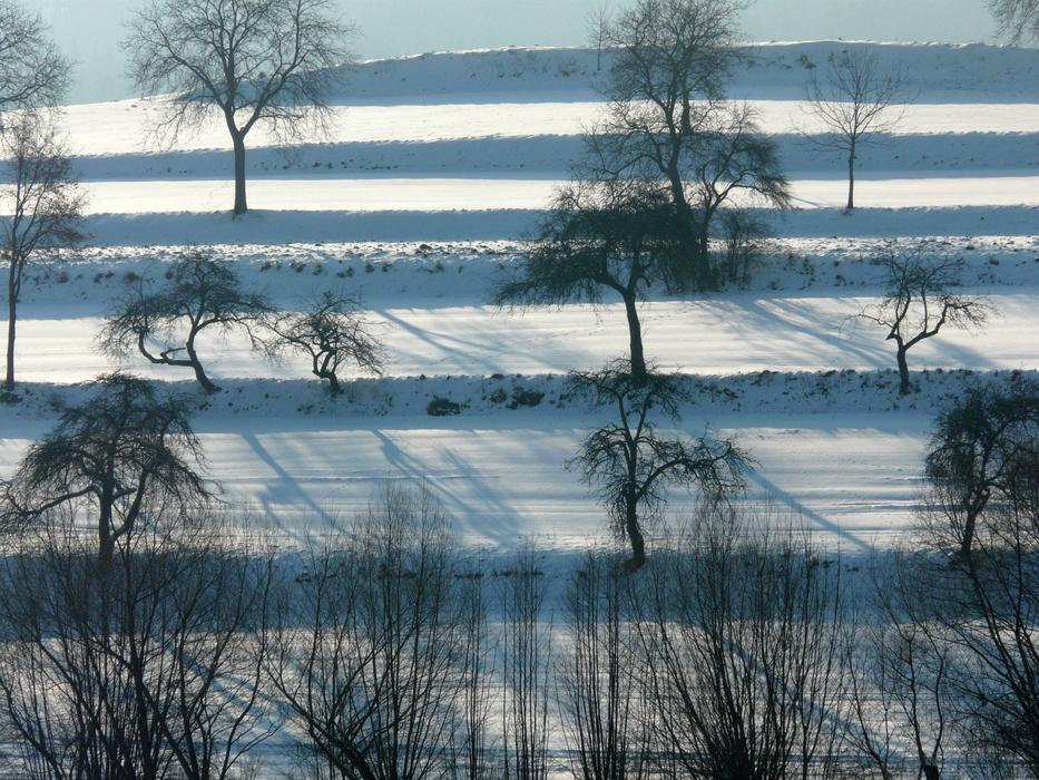 Winter Snow Wintry