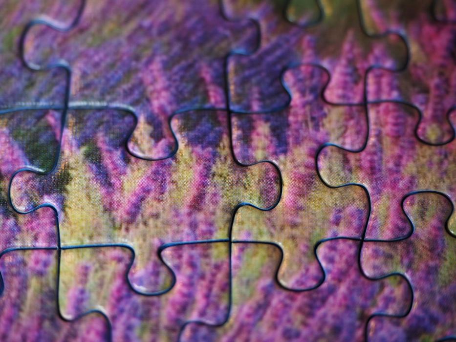 Pieces Of The Puzzle Items Form