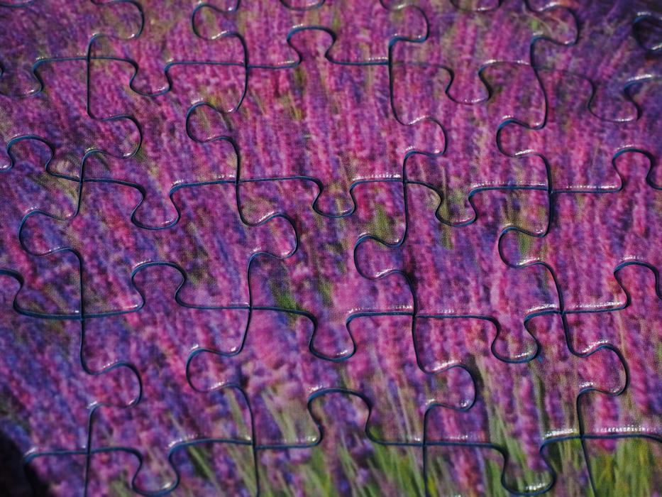 Pieces Of The Puzzle Items Form