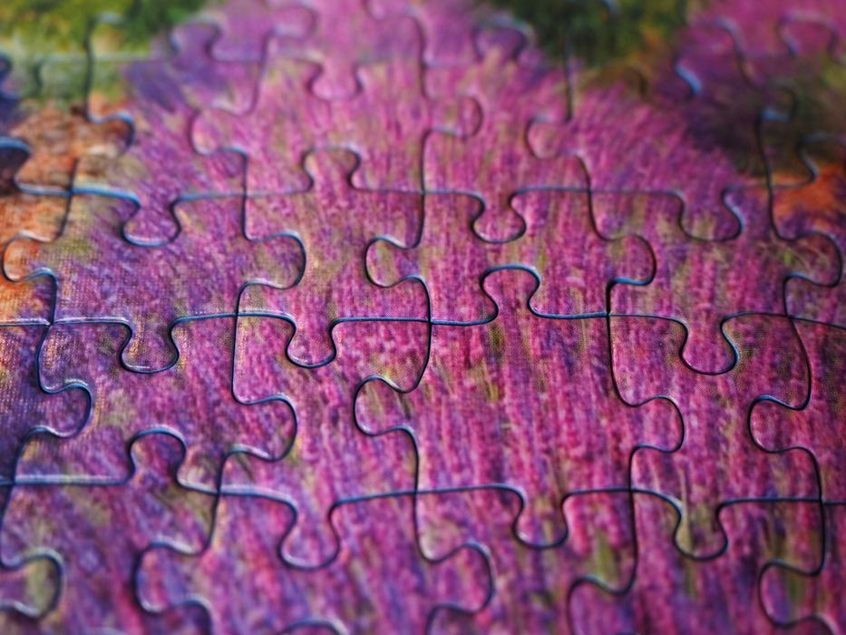 Pieces Of The Puzzle Items Form