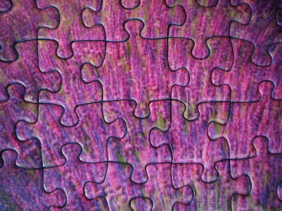 Pieces Of The Puzzle Items Form