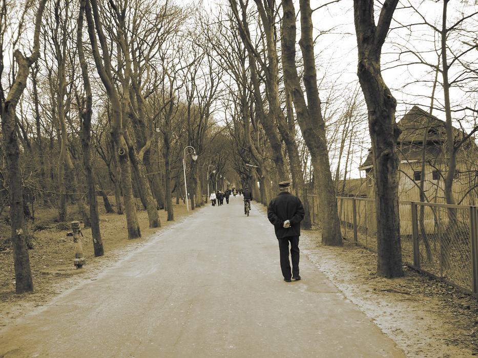 Park On Foot In The Free