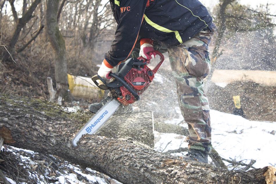 Wood Trim Felling The Woodcutter