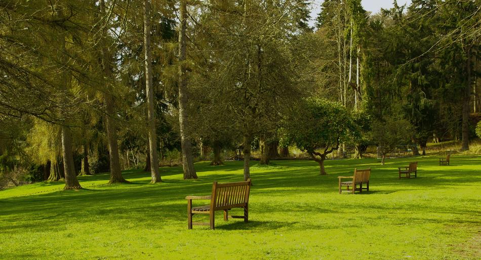 Scotland Shoals Lawn