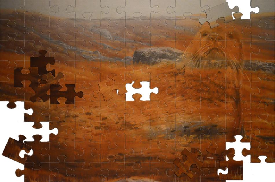 Puzzle Image Painting