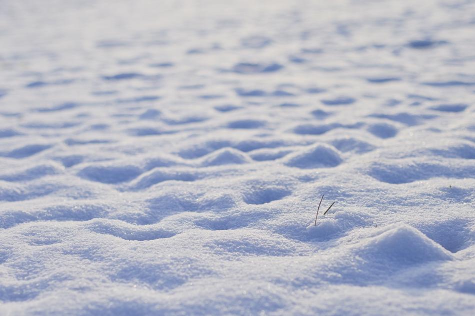 Snow Cold Winter Winter'S