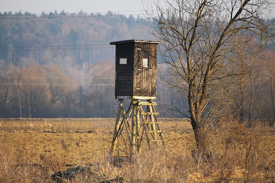 Delight Perch Hunting Seat Hunter