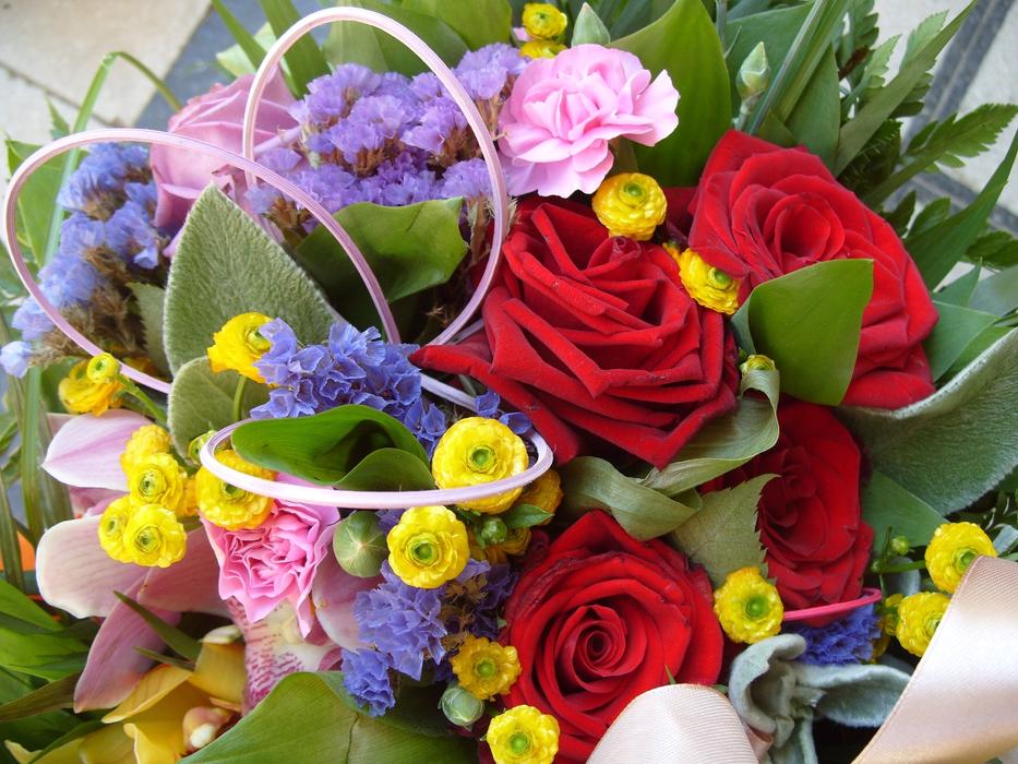photo of Bunch Of colorful Flowers