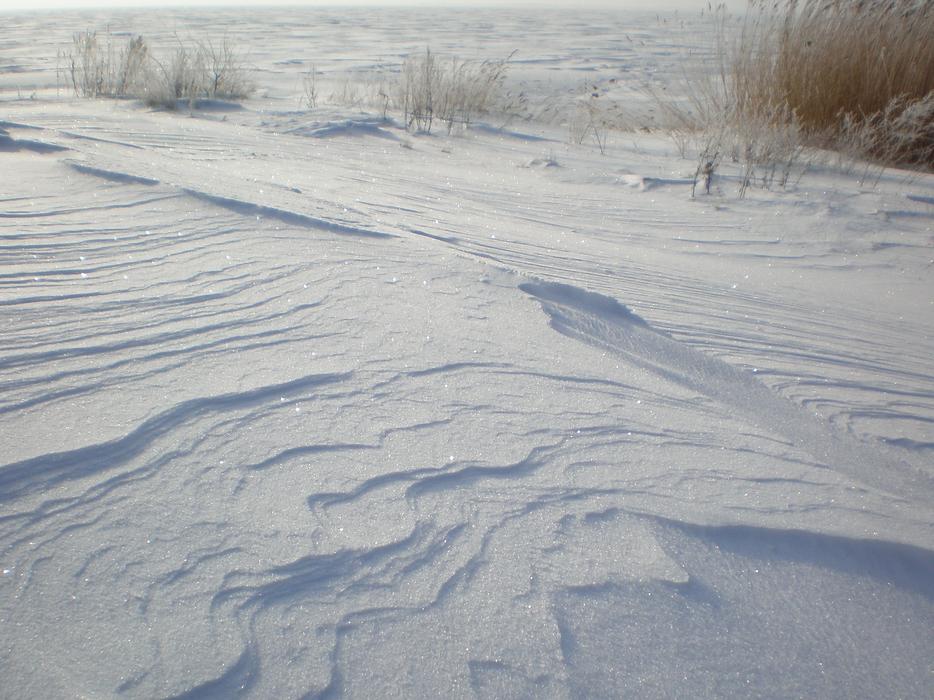Wintry Shore Edge