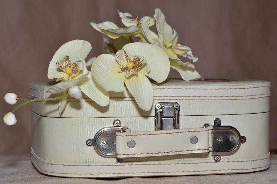 Luggage and Orchid Flowers
