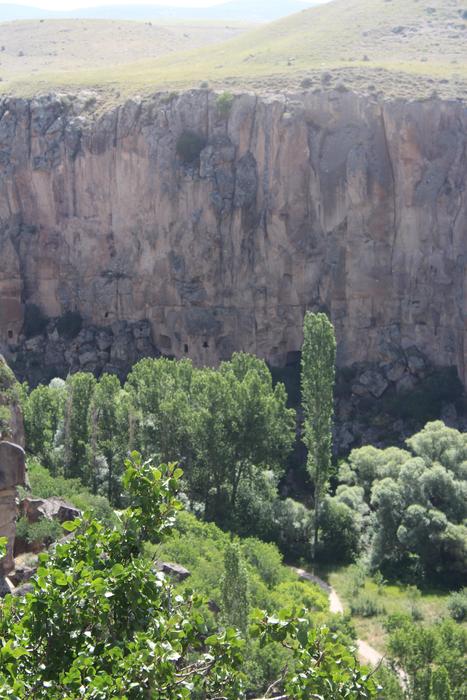 Ihlaravalley Cappadocia Tree
