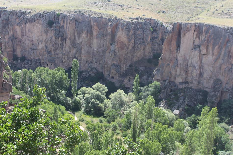 Ihlaravalley Cappadocia Tree