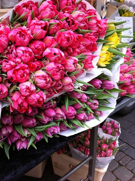 Tullips Flowers Bouquet