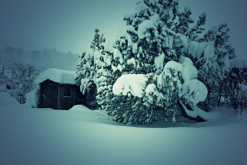 Winter Snow