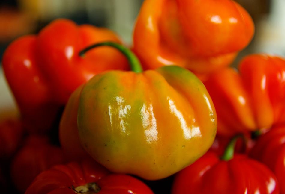 small bell Peppers for grill