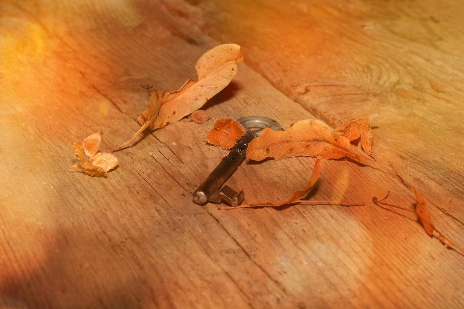 Wood Floor Key Sunlight