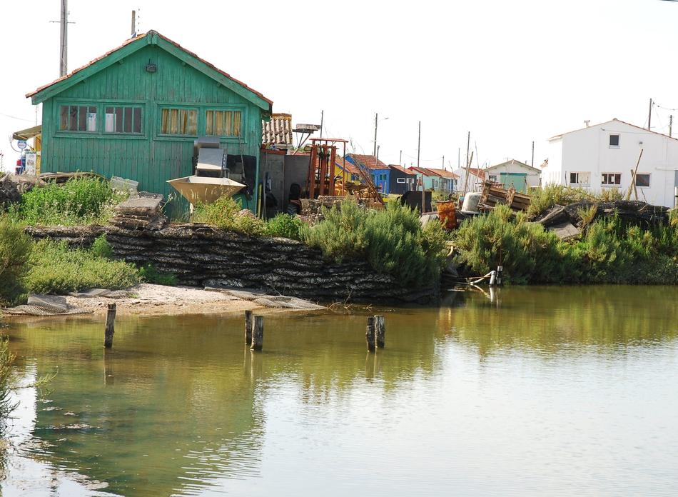 Cabin Oyster Basin