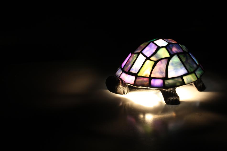 Lamp Light Turtle