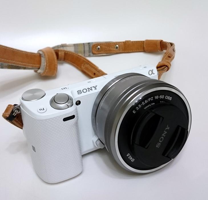 Camera Sony Mirrorless Annex 5T