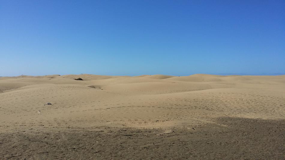 Desert Dune Sand