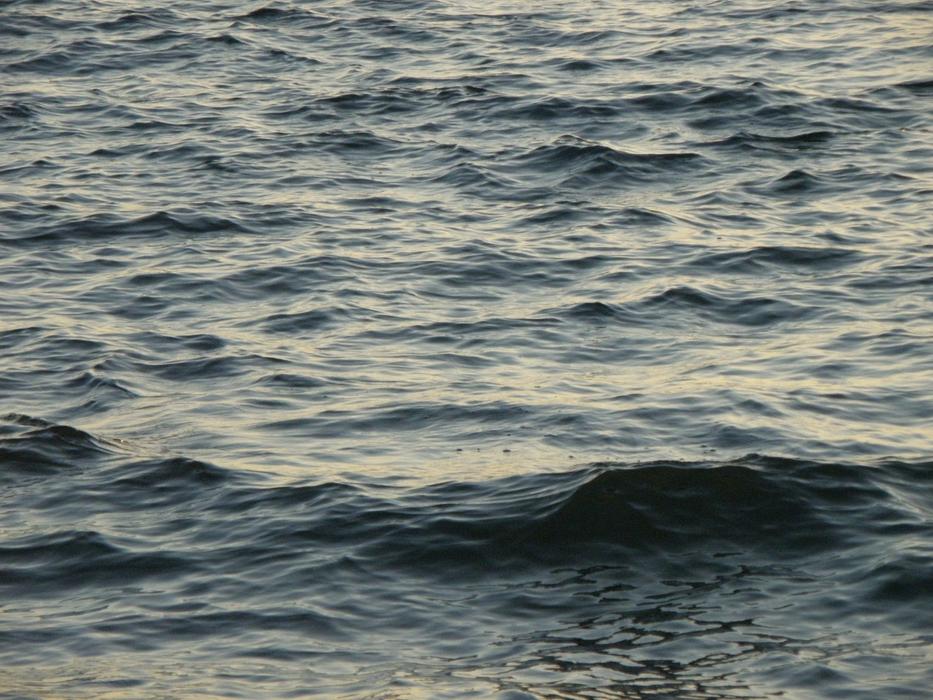 Waves Surface Sea