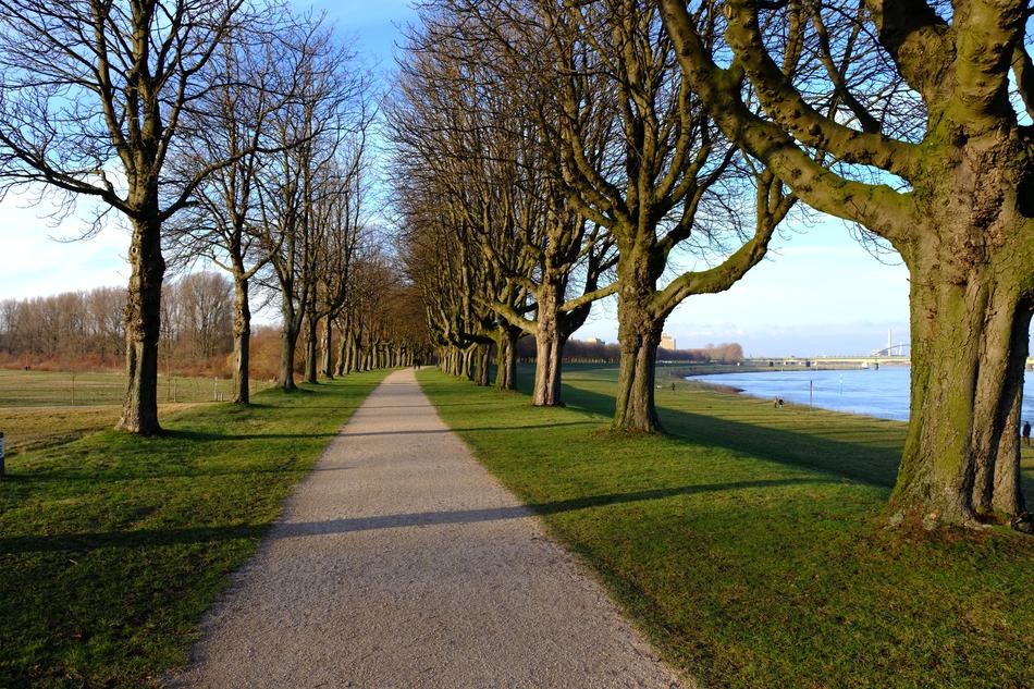 Neuss Rhine Away