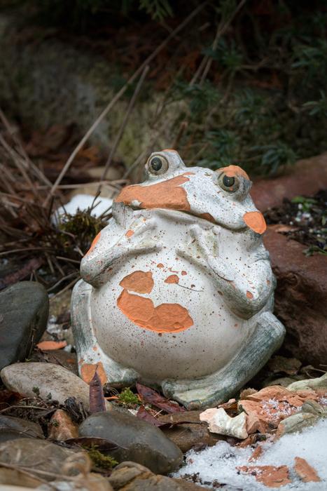 sculpture in the form of a frog in the garden