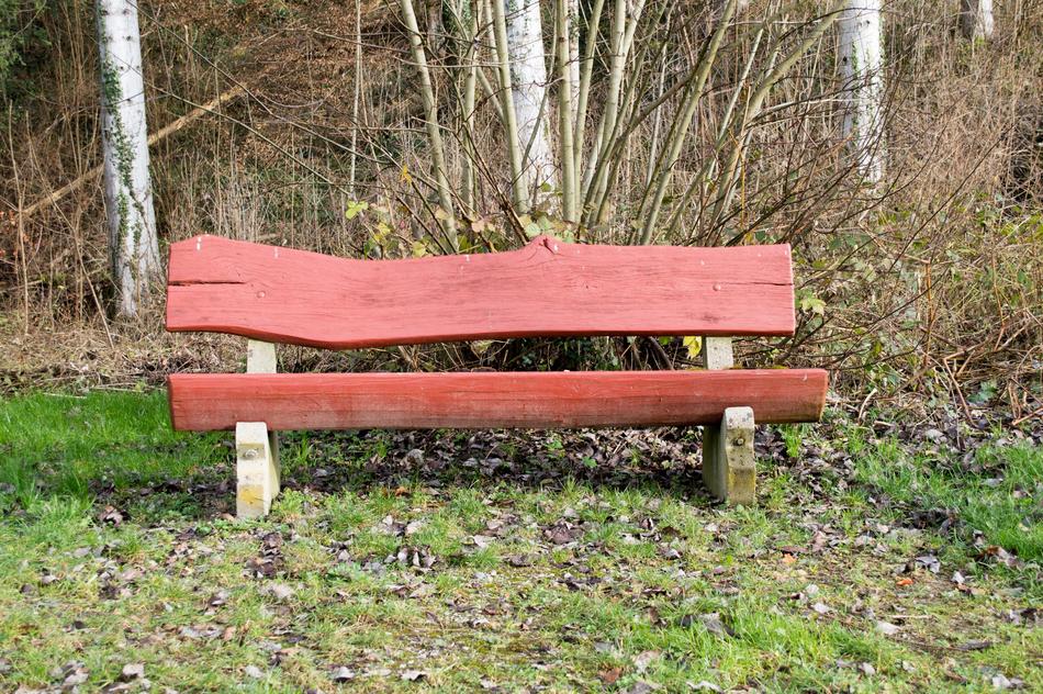 bench for rest in the forest