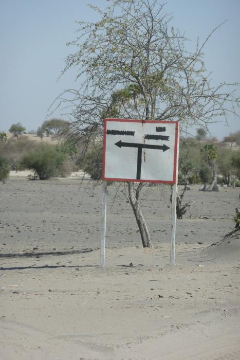 Bush Sahara Sign Sahel