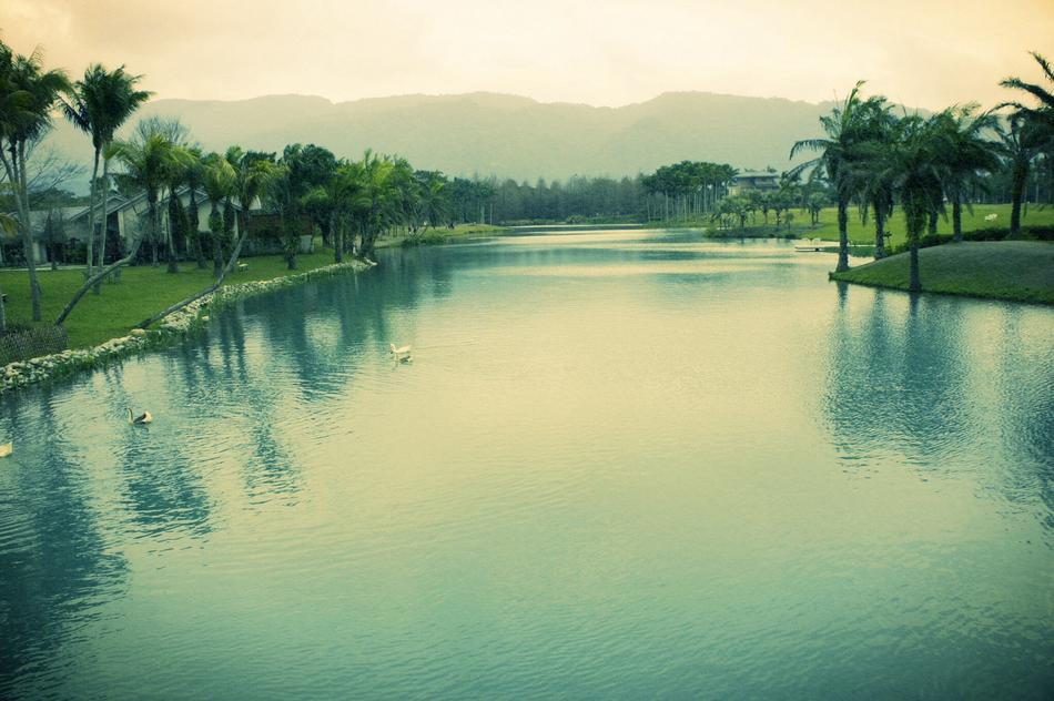 Whater Pond Lanscape