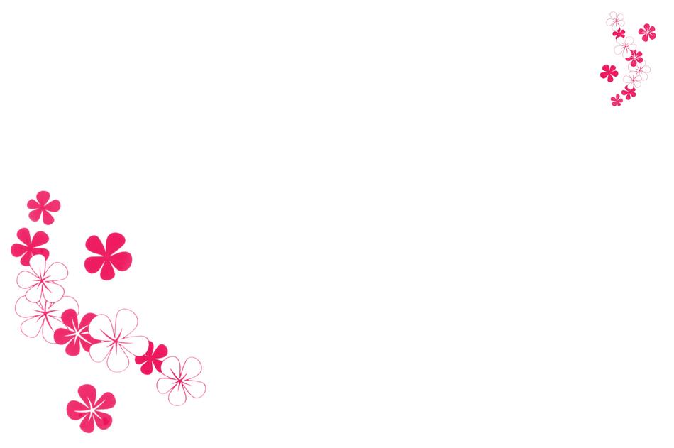 flowers red ornament text freedom