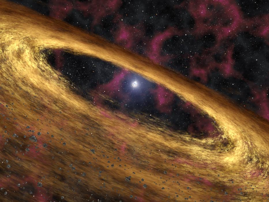 Magnetar Pulsar Fallback