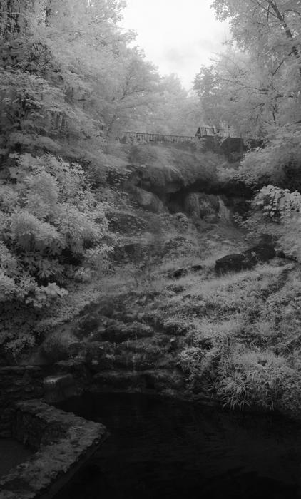 Infrared Black And White Serene