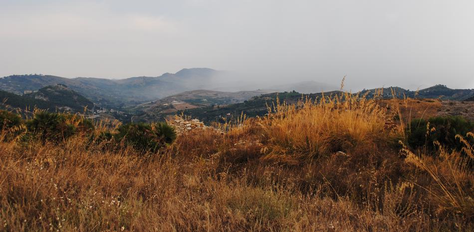 Sicily Before The Rain Grass