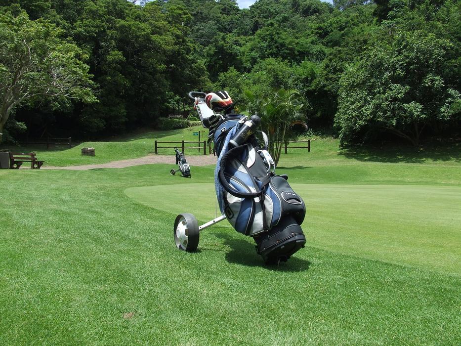 Bag for transporting golf tools