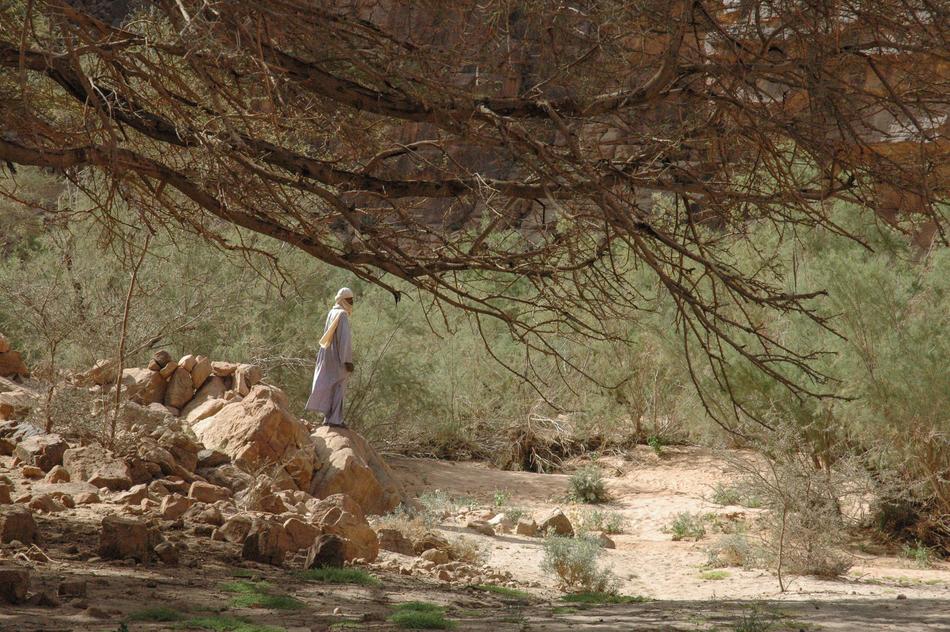 man walking in the desert