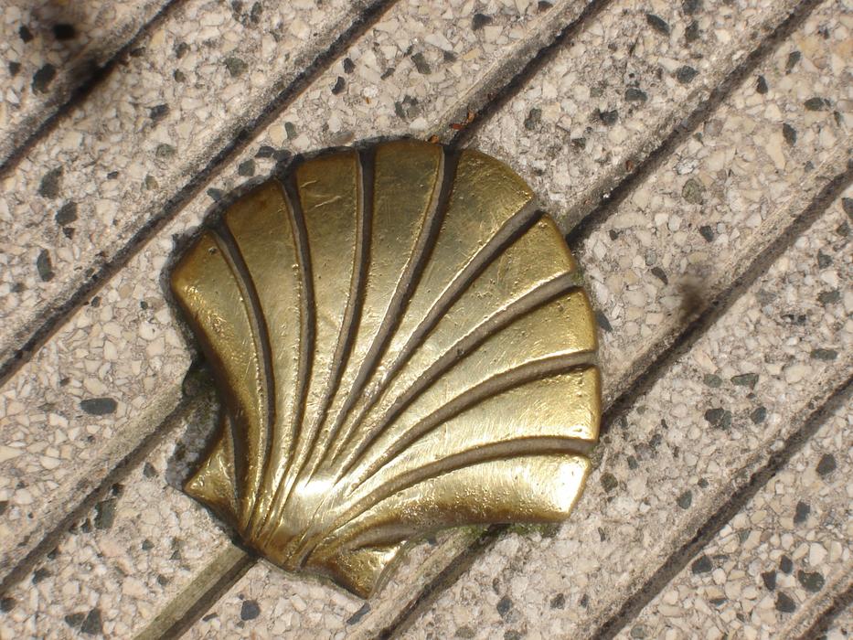 St Jacques Shell