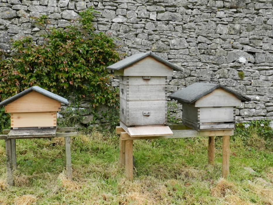 Beehives Beekeeping