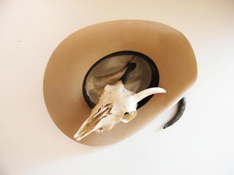 Area North skull