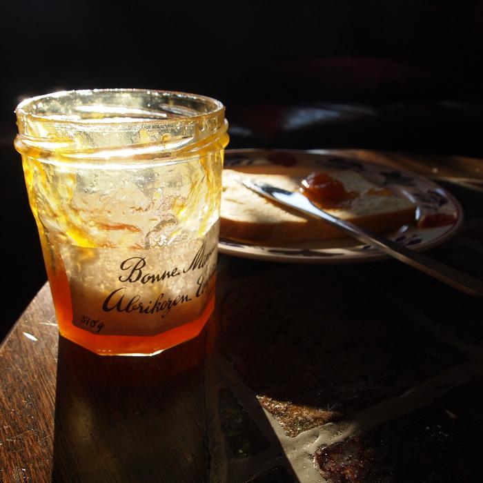 Jam Sunlight Sandwich