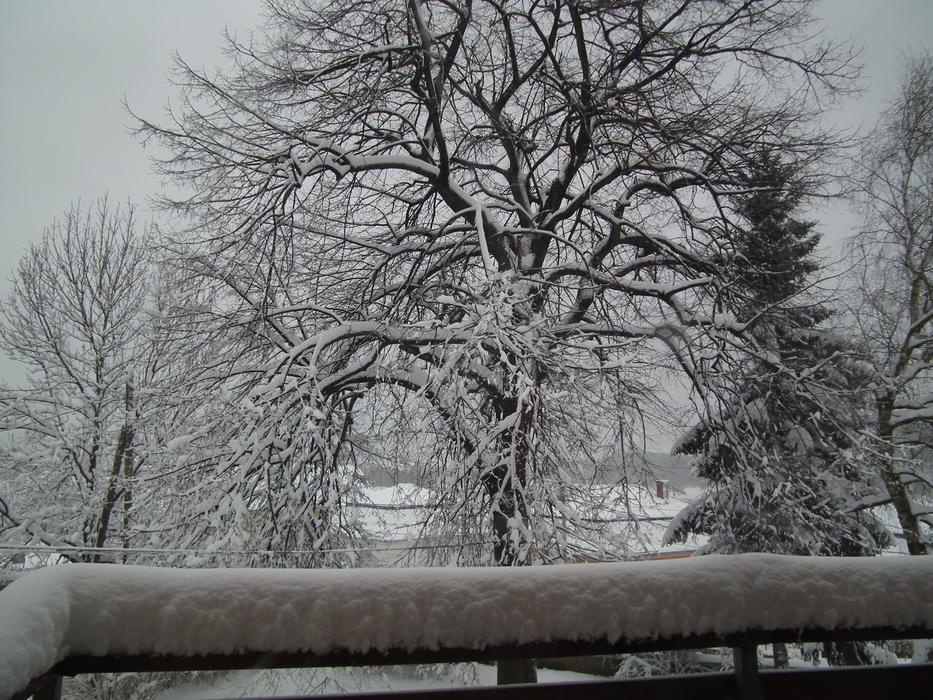 February Snow Winter