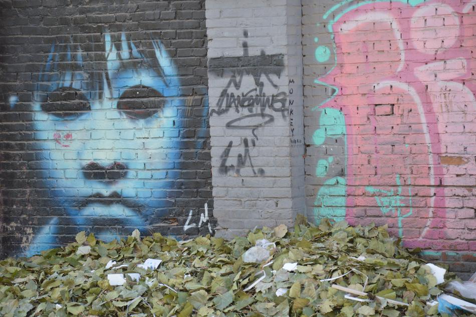 Graffiti on the movie curse
