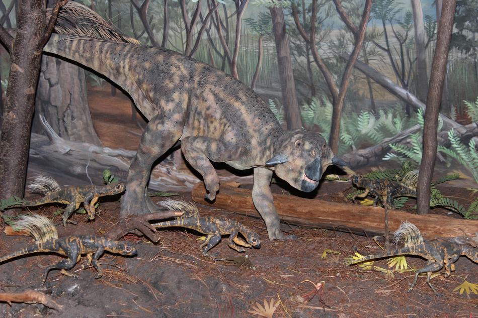 Dinosaur Psittacosaurus