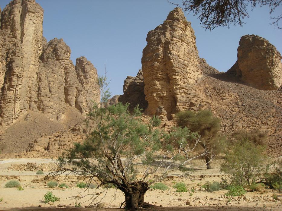 Algeria Guelta Of Essendilene