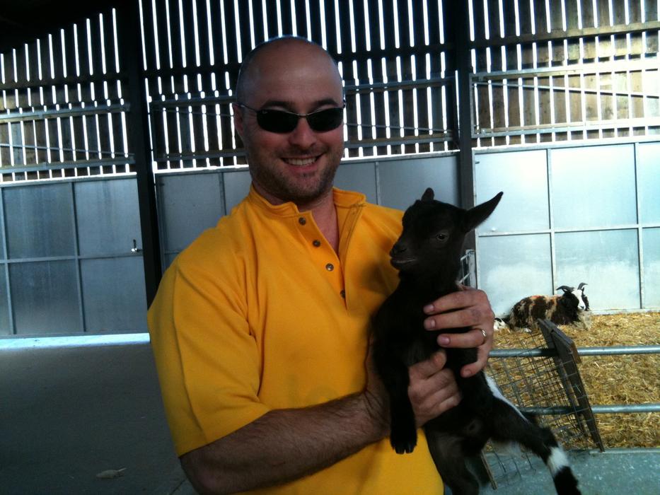 Baby Goat