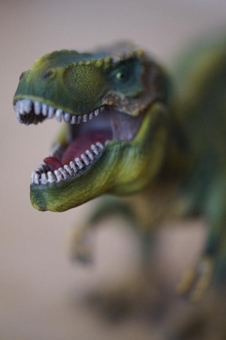 Foot Tooth Dangerous Tyrannosaurus