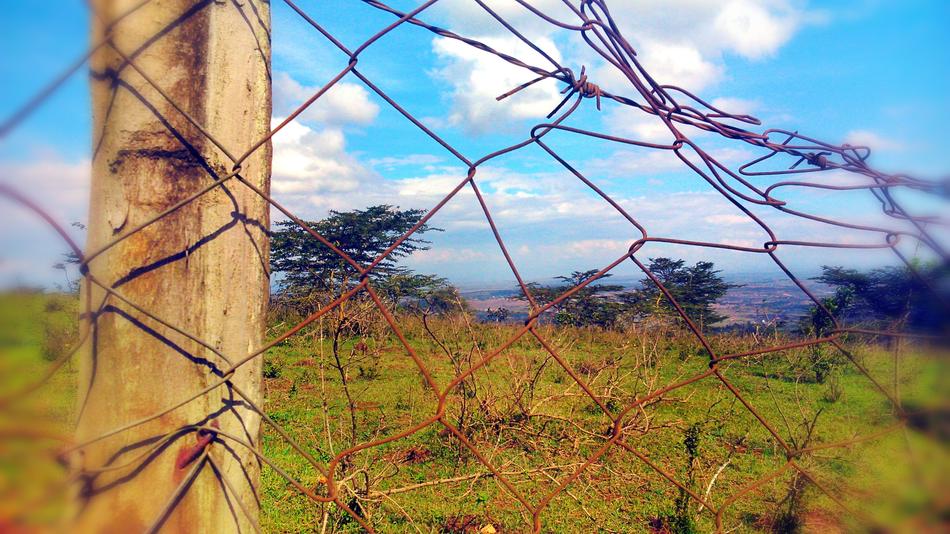 old rusty fence in the field