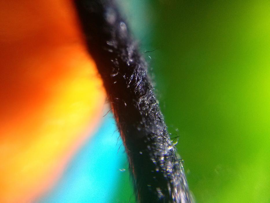 Black rope near the colored background