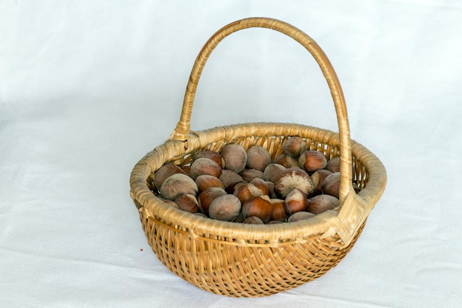 Nuts Hazelnuts