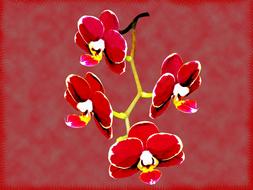 Orchid Vintage Flowers drawing